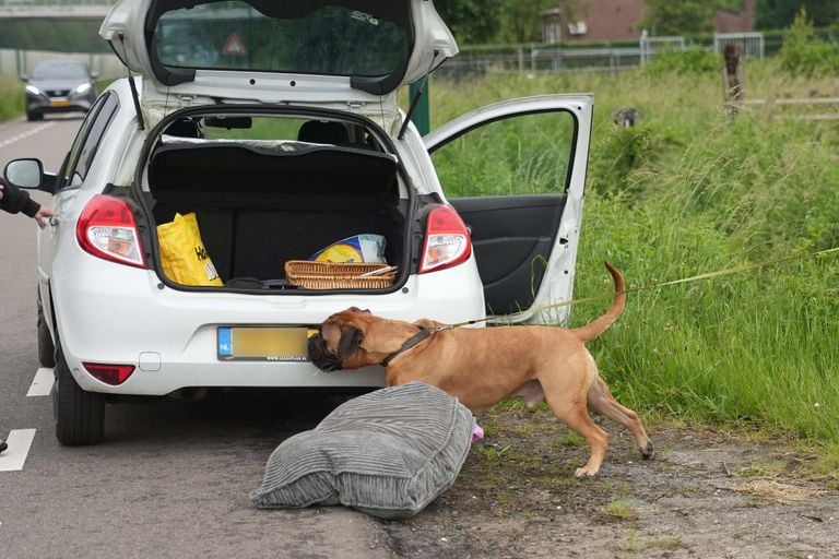 Een hond werd in de buurt opgevangen (foto: WdG/SQ Vision).