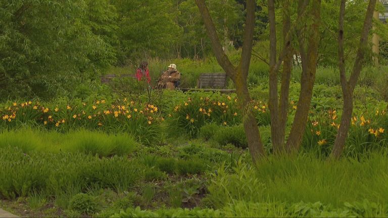 Groen is goed voor ons welzijn (beeld: Omroep Brabant).