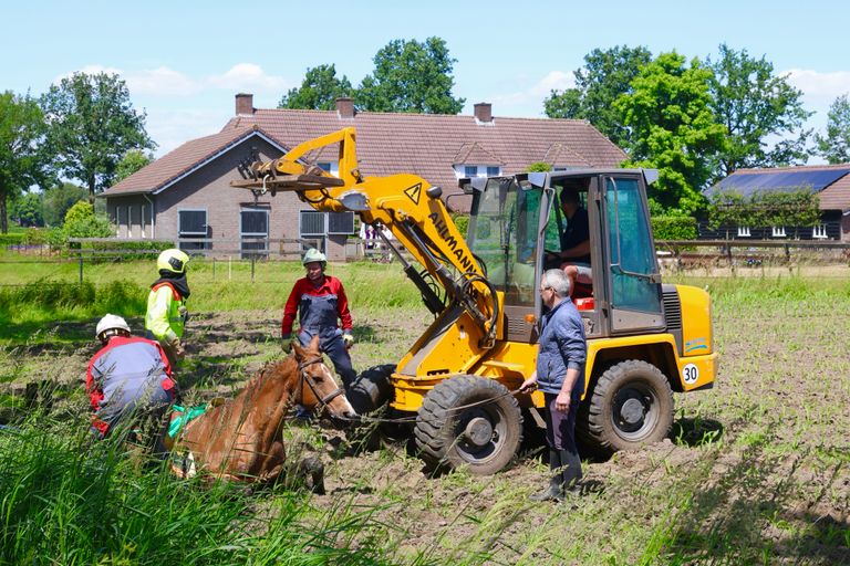 Het paard wordt uit de sloot getakeld (foto: Sander van Gils/SQ Vision)
