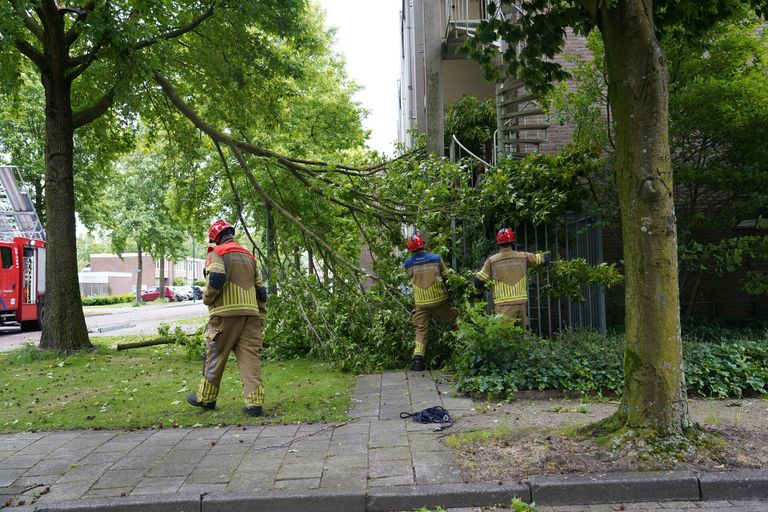 Grote tak valt op galerij (foto: Jeroen Stuve/SQ Vision).