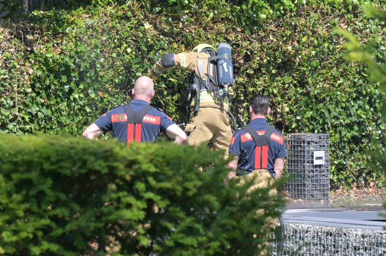 Het is niet duidelijk hoe de heg in brand kon vliegen (foto: SQ Vision/Perry Roovers).