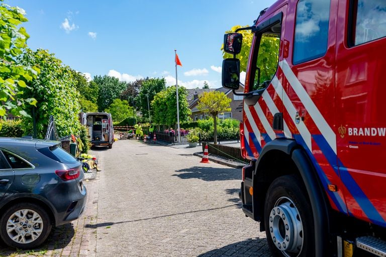 Foto: Jurgen Versteeg/SQ Vision 