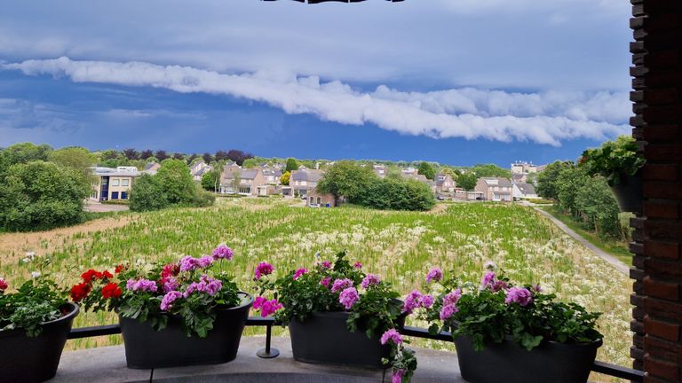 De plantjes van Hein op een balkon in Eindhoven (foto: Hein van den Berk).