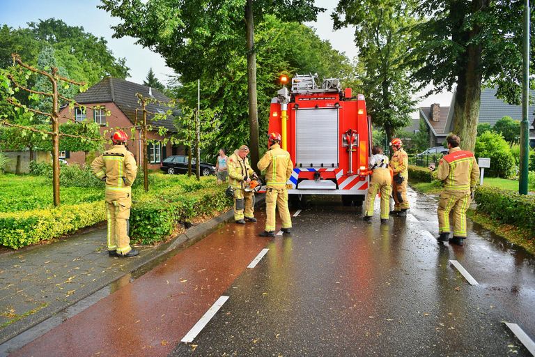 Foto: Rico Vogels/SQ Vision. 