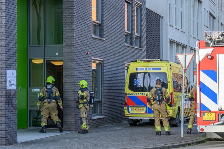 Foto: Tom van der Put / SQ Vision. 