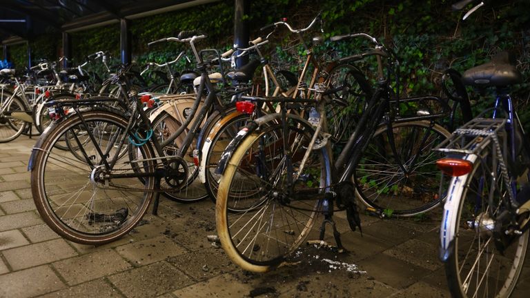 Foto: Sander van Gils / SQ Vision