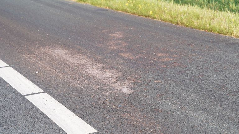 Het roze slachtafval zorgt ervoor dat de weg spekglad wordt (foto: Bart Meesters/SQ Vision).