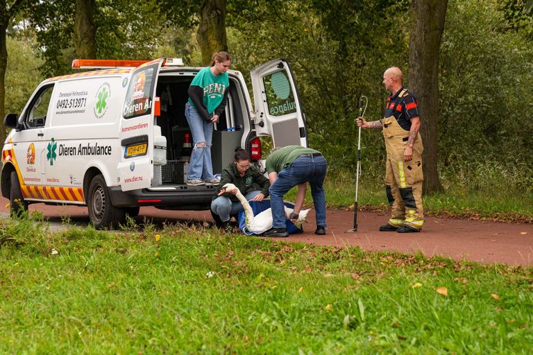 Foto: Harrie Grijseels/SQ Vision.