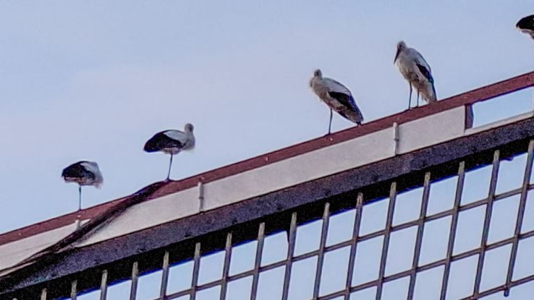 Foto: Marc van Deursen 