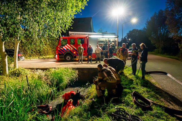 Foto: Jurgen Versteeg/SQ Vision