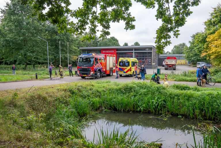Foto: Iwan van Dun/SQ Vision.