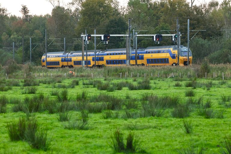 Foto: Sander van Gils/SQ Vision.