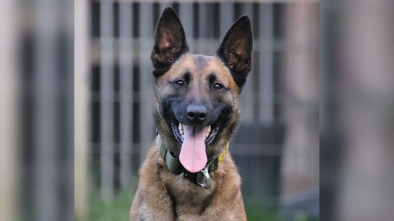 Foto: Politie Zeeland/West-Brabant.