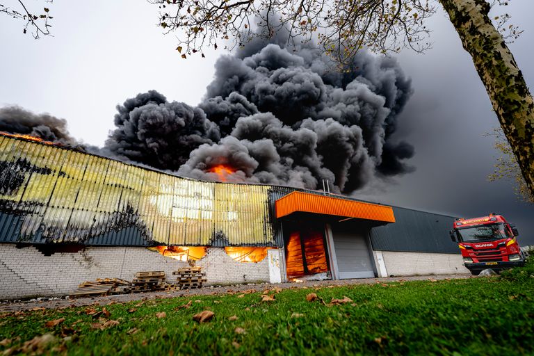 Foto: Eye4Images/SQ Vision.