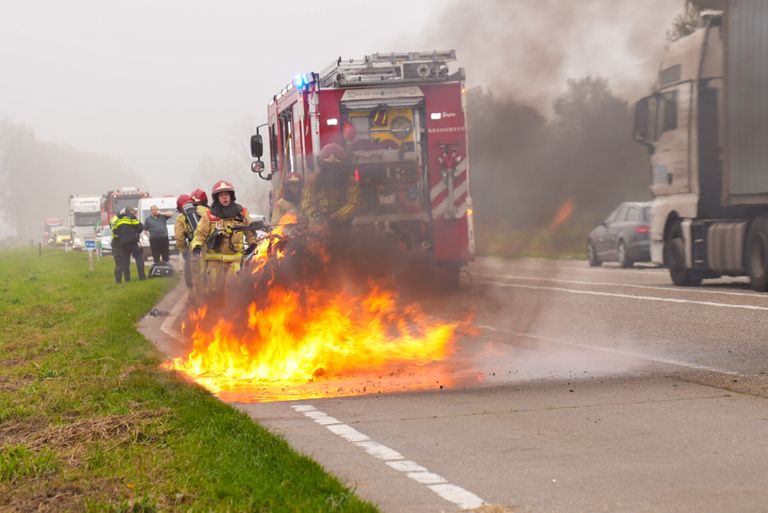 Foto: Harrie Grijseels/SQ Vision.