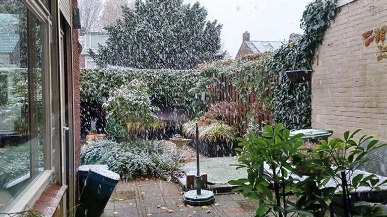 Cuijkの雪（写真：Patricia Daatzelaar）。