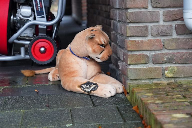 Foto: Harrie Grijseels/SQ Vision.