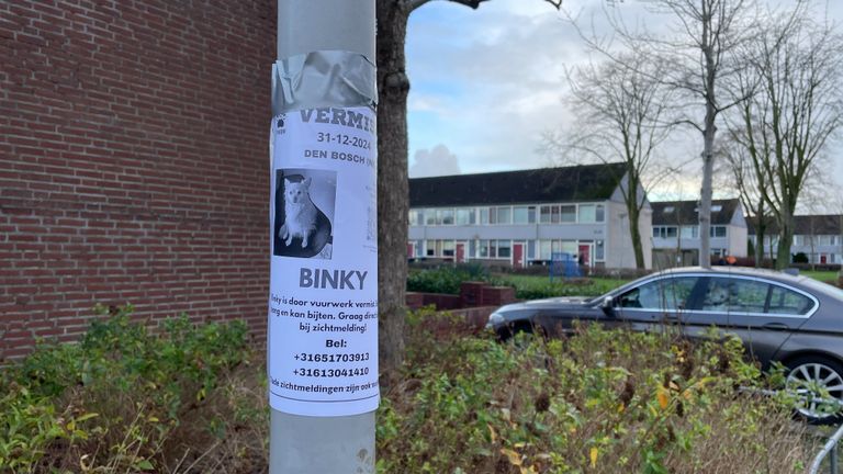 Het Team Hondenopsporing Nederland helpt de familie hun hondje terug te vinden (foto: Rochelle Moes).