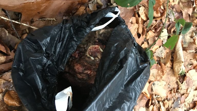 Een stuk kalf in een vuilniszak (Foto: Wandelaar)