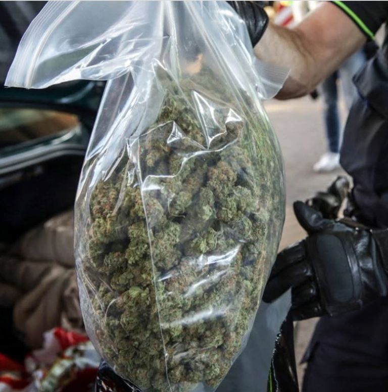 De politie vond vier zakken met henneptoppen in de kofferbak (foto: Politie Best Oirschot/Instagram).