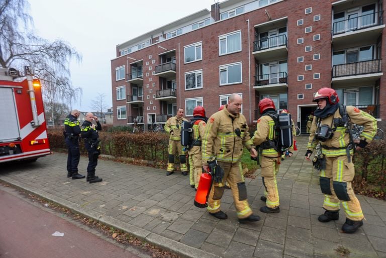 Foto: Arno van der Linden / SQ Vision 