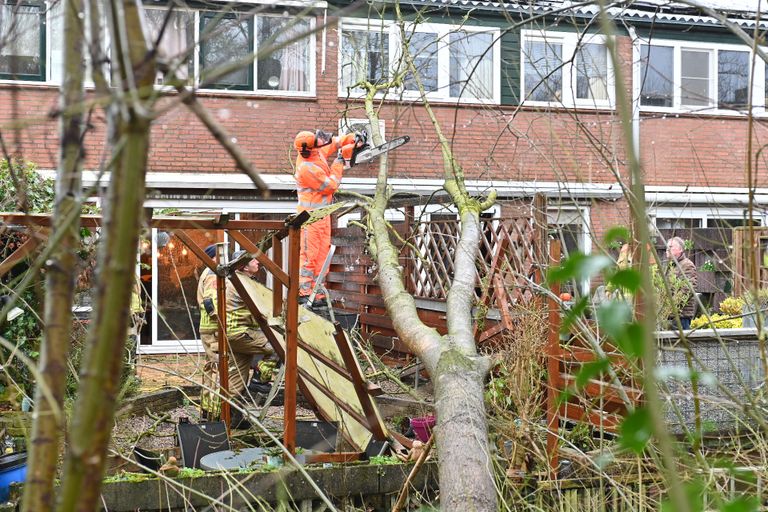 De schade aan de schutting in Breda (Foto: Perry Roovers / SQ Vision).