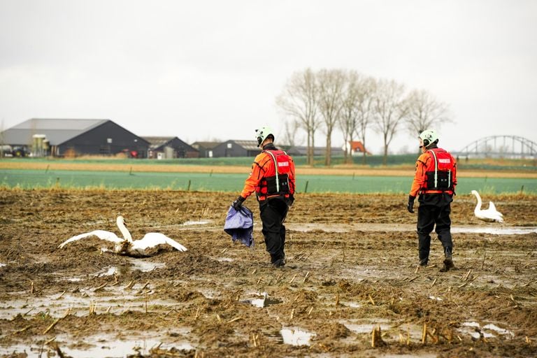 Foto: FPMB Erik Haverhals 