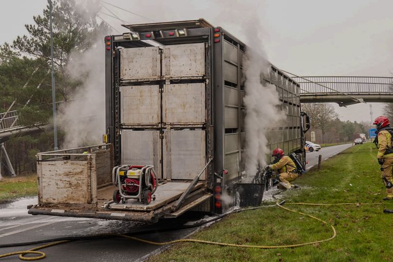 Foto: Harrie Grijseels/SQ Vision.