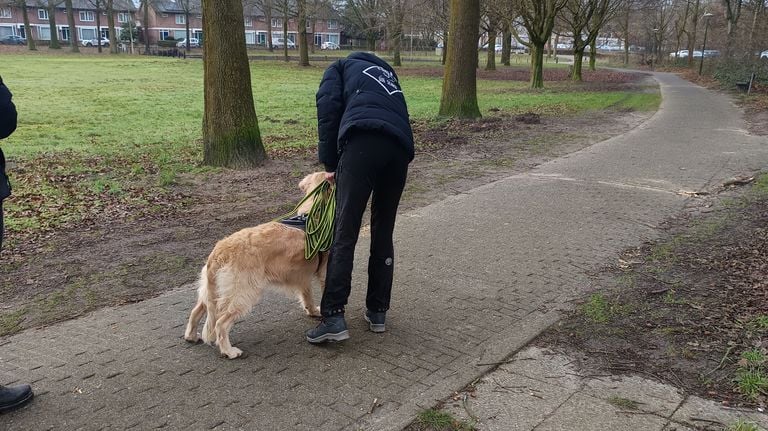 Een speurhond zocht naar sporen van hondje Bailey (eigen foto).