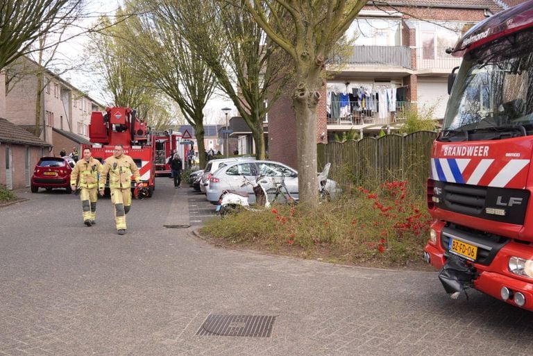 Foto: Harrie Grijseels / Persbureau Heitink.