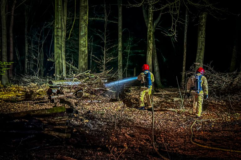 Foto: Persbureau Heitink.