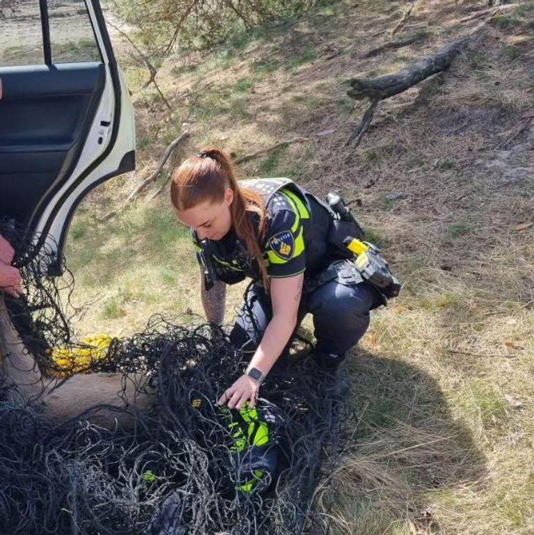 Foto: Instagram politie Best-Oirschot.