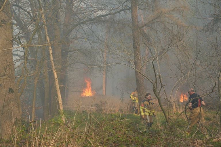 Foto: Erik Haverhals/Persbureau Heitink