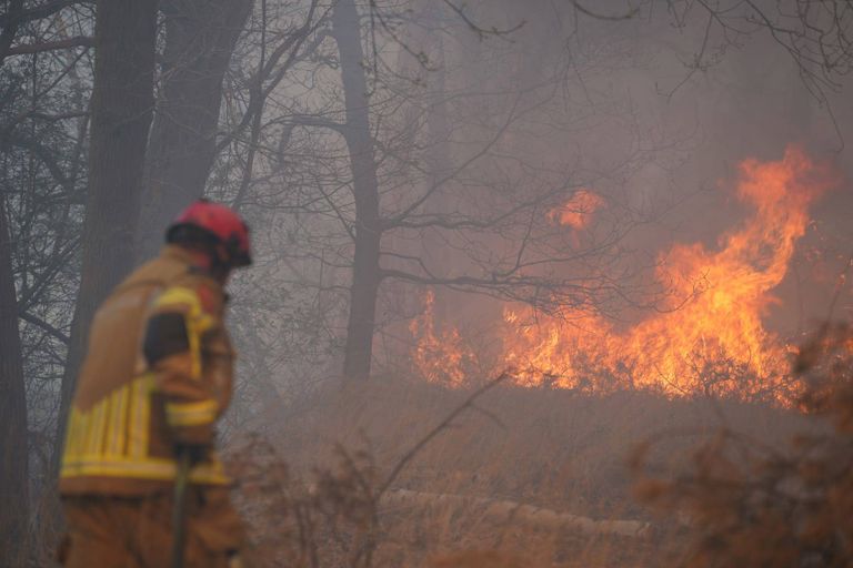 Foto: Erik Haverhals / Persbureau Heitink
