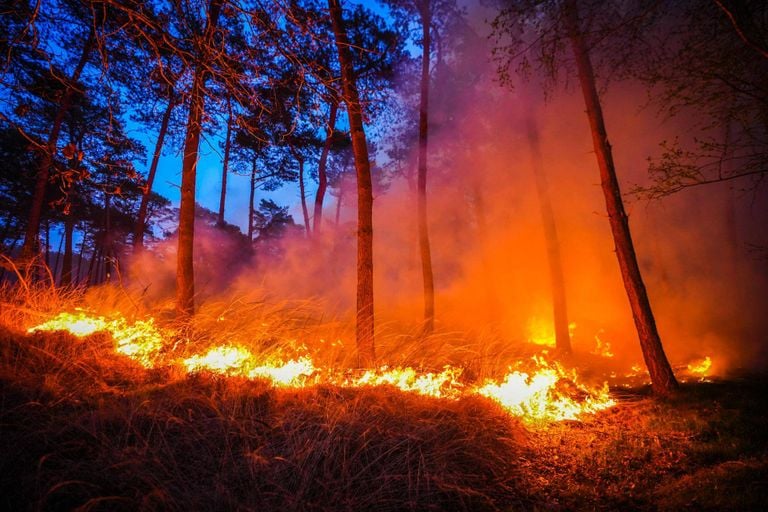 De brand zondagochtend (foto: Persbureau Heitink).