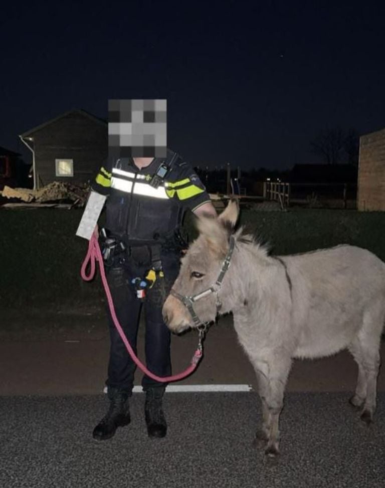 Foto: Instagram politie Den Bosch.