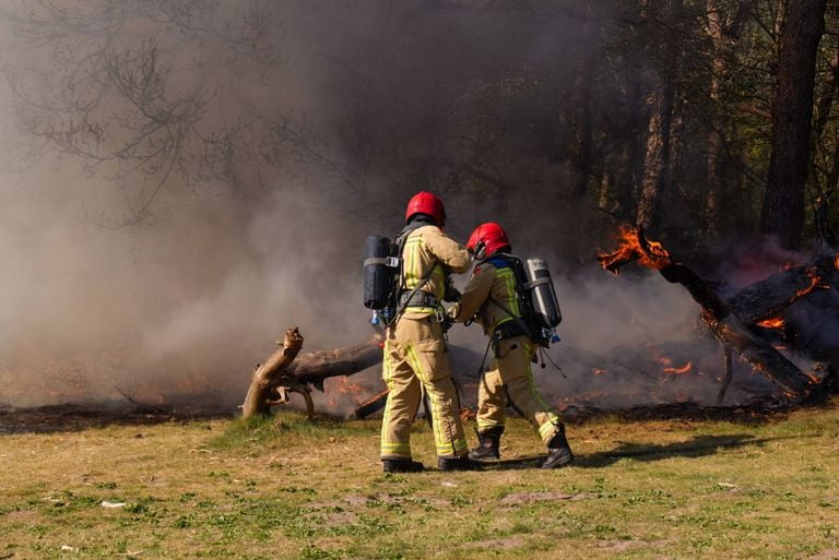 Foto: Harrie Grijseels/Persbureau Heitink. 
