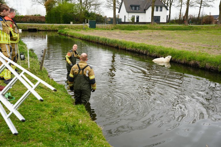 Foto: Erik Haverhals.