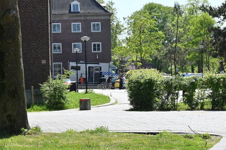 Foto: Perry Roovers/Persbureau Heitink.