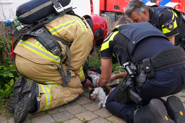 Foto: Harrie Grijseels/Persbureau Heitink.