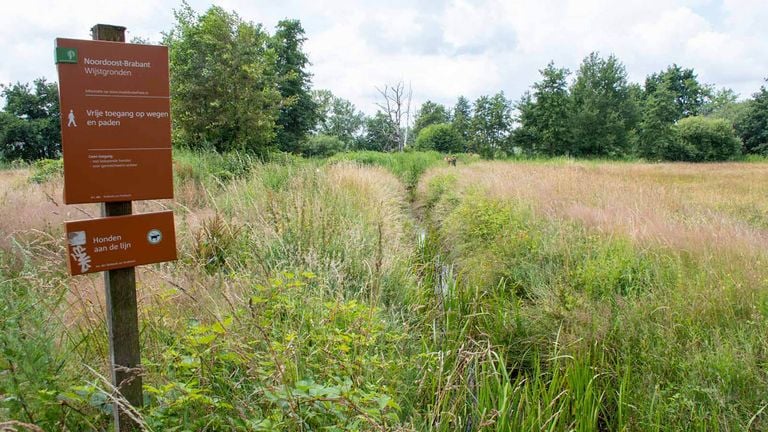 De Wijst (foto: Vogelwacht Uden).