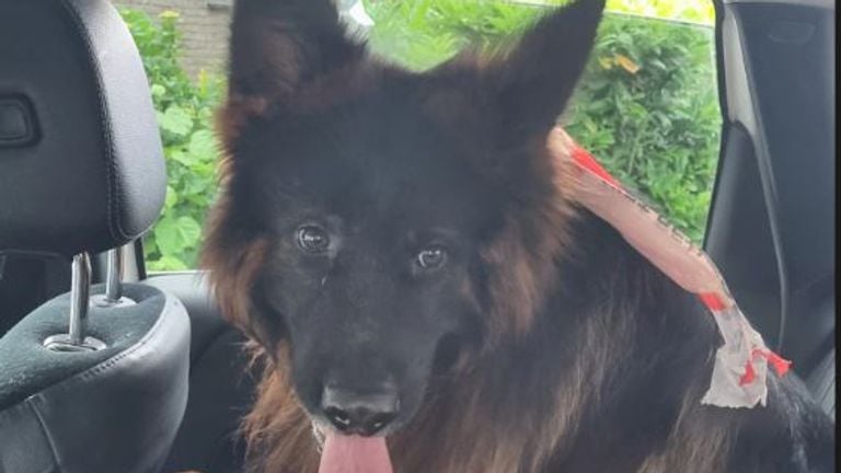 Foto: Instagram politie Tilburg-Centrum.