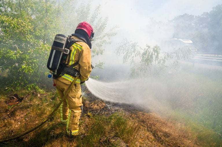 Foto: Dave Hendriks / Persbureau Heitink