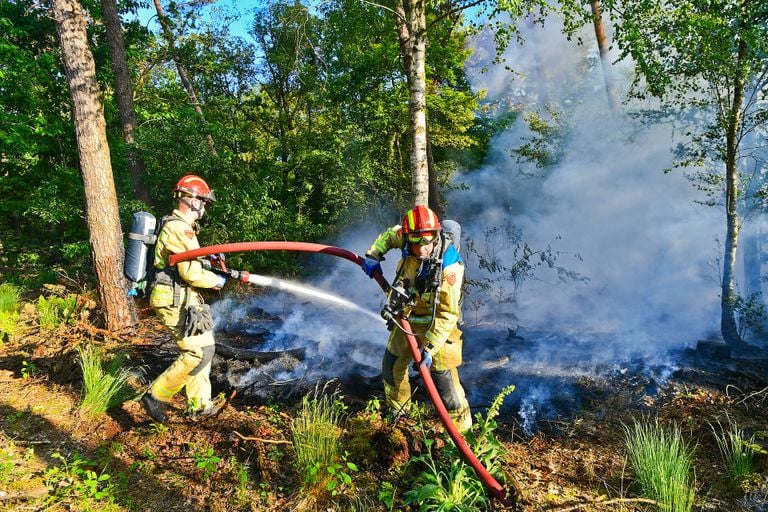 Foto: Rico Vogels/Persbureau Heitink