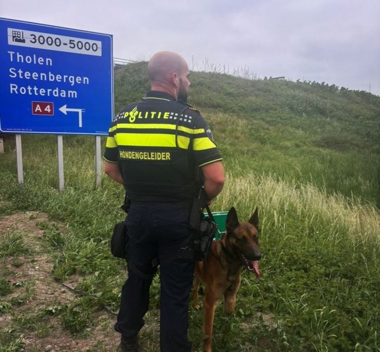 Foto: Instagram politiehonden Zeeland-West-Brabant.