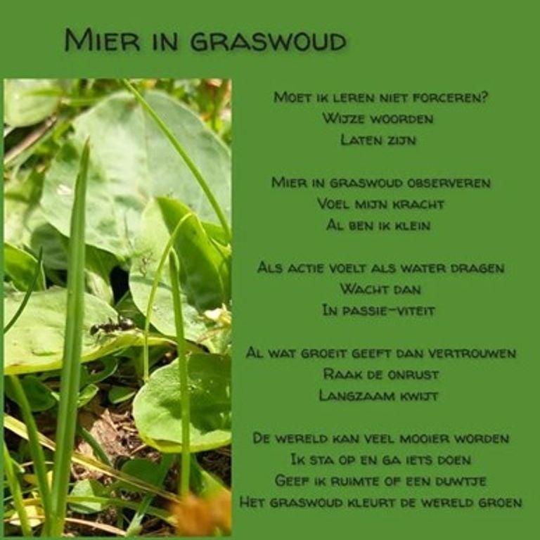 Gedicht van Elizabet Meerbeek-Zwetsloot