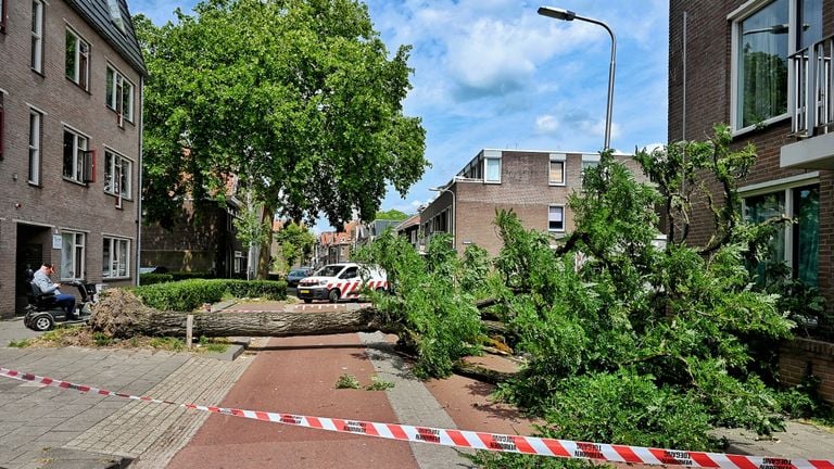 Foto: Toby de Kort/Persbureau Heitink