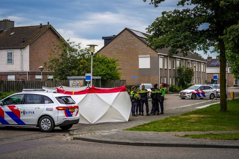 Foto: Persbureau Heitink.