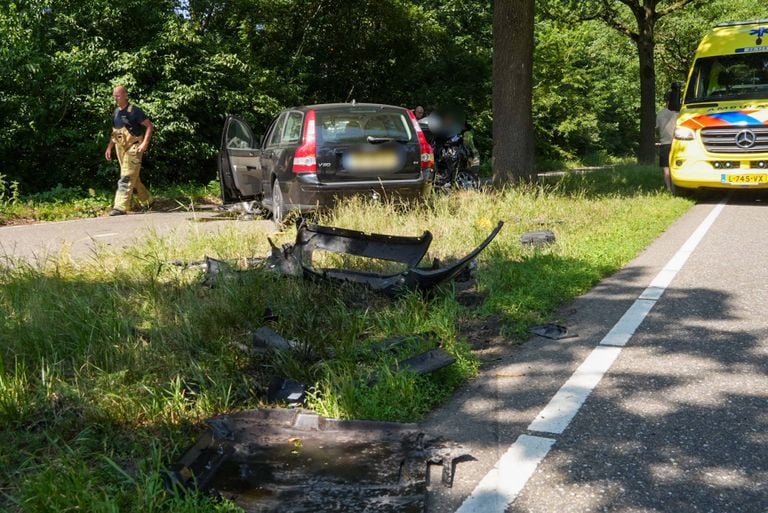 Foto: Harrie Grijseels / Persbureau Heitink