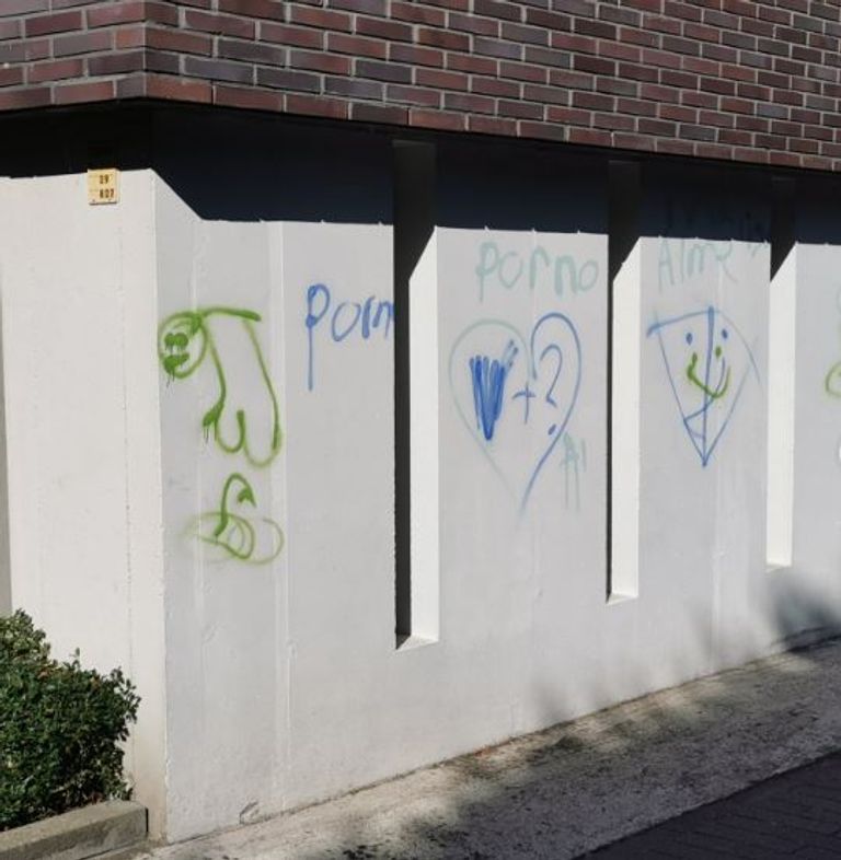 Foto: Instagram politie Valkenswaard.